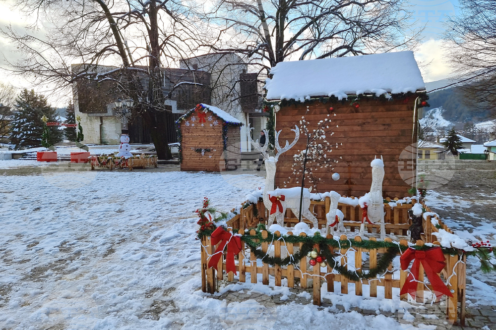 Светлините на коледната елха в Котел ще грейнат на 10 декември