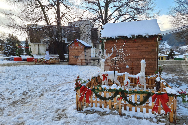 Светлините на коледната елха в Котел ще грейнат на 10 декември