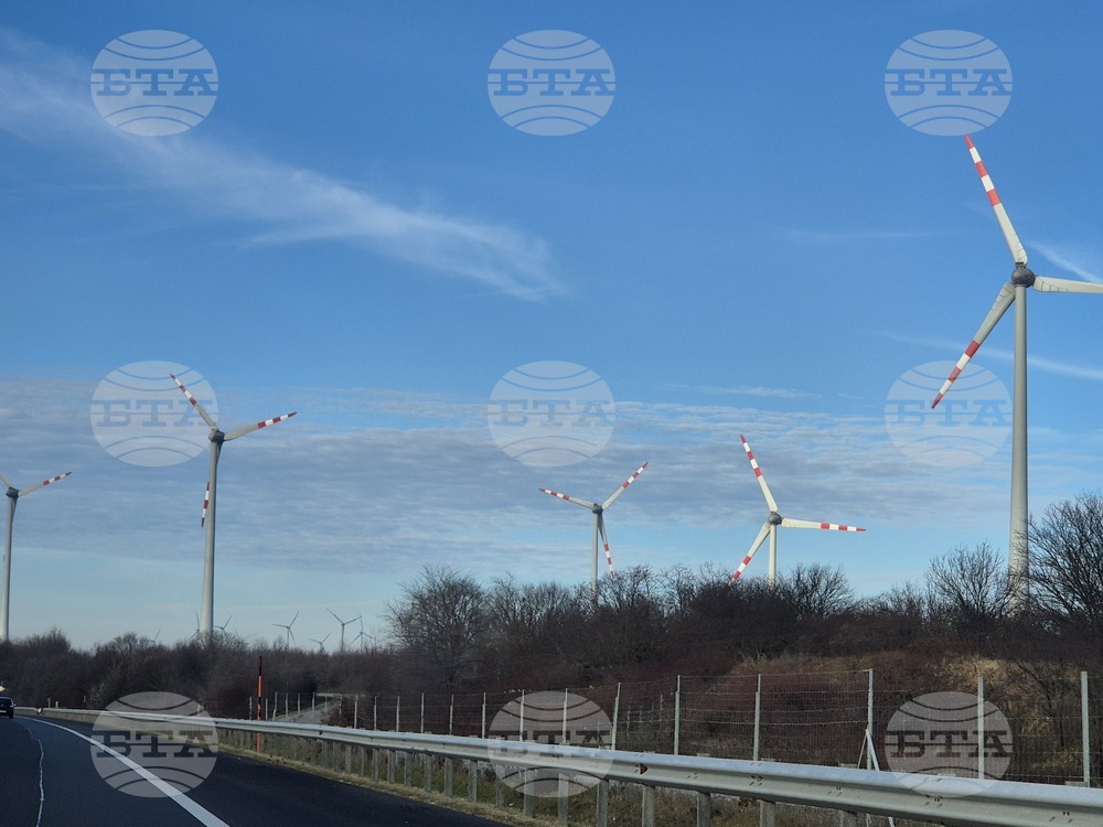 Българите приветстват инвестиции във възобновяема енергия, сочи проучване за „Грийнпийс“ - България