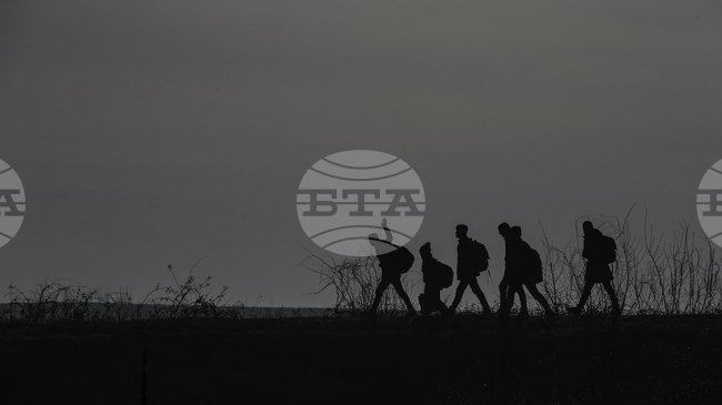 Девет нелегални мигранти са заловени от турските власти при градовете Одрин и Къркларели