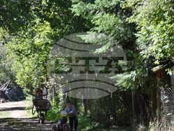 Сърбия - Босилеградска община - село Голеш