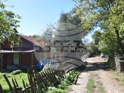 Сърбия - Босилеградска община - село Голеш