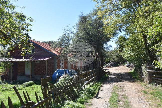 Босилеградското село Голеш – минало и настояще