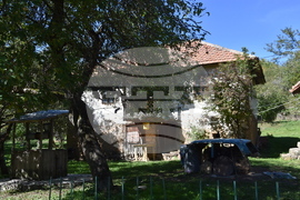 Сърбия - Босилеградска община - село Голеш