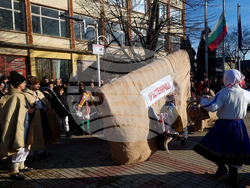 Тръстеник - Ивановден - „Кьорава кобила”