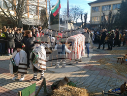 Тръстеник - Ивановден - „Кьорава кобила”