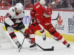 Senators Red Wings Hockey