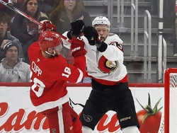 Senators Red Wings Hockey