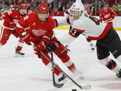 Senators Red Wings Hockey