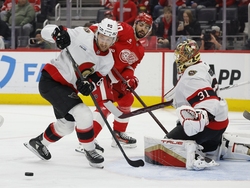 Senators Red Wings Hockey