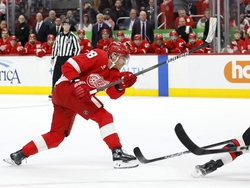 Senators Red Wings Hockey