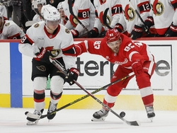 Senators Red Wings Hockey