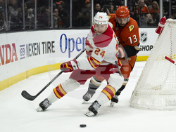 Flames Ducks Hockey