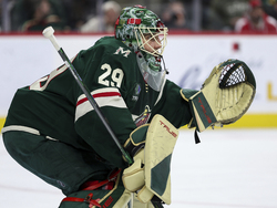 Blues Wild Hockey