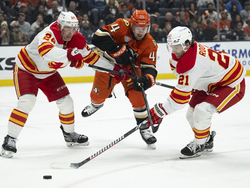Flames Ducks Hockey