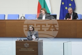 Народно събрание - втора пленарна сесия - заседание