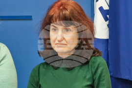 Национален пресклуб на БТА - Видин - Регионален исторически музей - проект - пресконференция