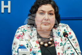 Национален пресклуб на БТА - Видин - Регионален исторически музей - проект - пресконференция