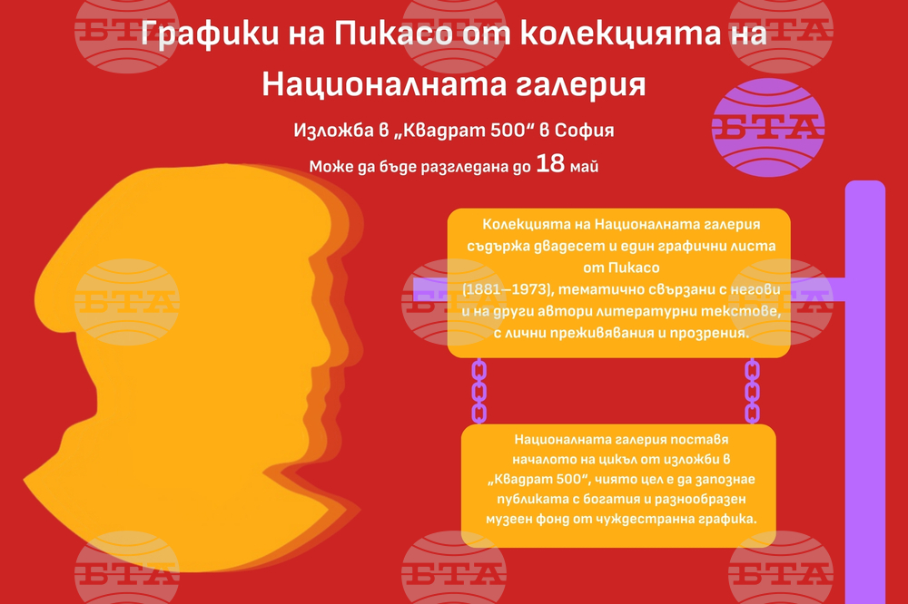 Изложбата "Графики на Пикасо от колекцията на Националната галерия" ще бъде открита днес
