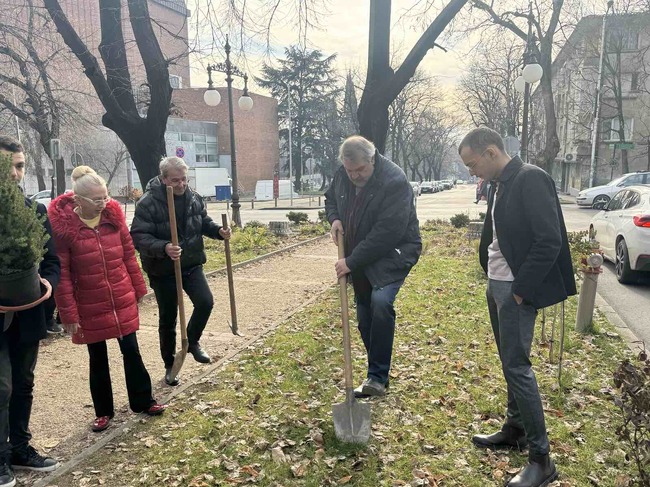 Община Стара Загора: „Чудната елха“ изпълни благородната си мисия – символът на добротата бе засаден