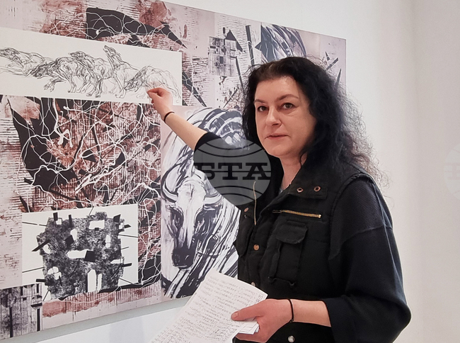 Стремя се да бъда автор, който винаги пробва нещо различно, каза художничката Деница Янева
