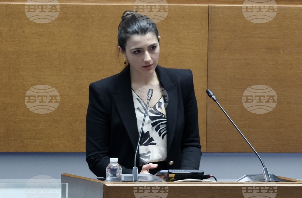 Народно събрание - втора пленарна сесия - заседание