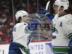 Canucks Capitals Hockey