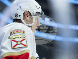 Panthers Utah Hockey
