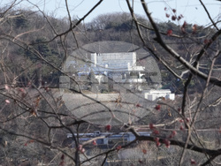 South Korea Martial Law