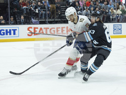 Panthers Utah Hockey