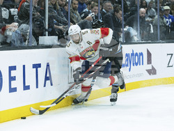 Panthers Utah Hockey