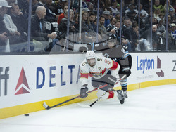 Panthers Utah Hockey