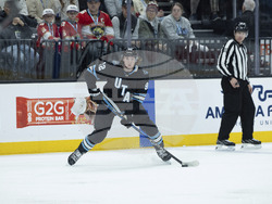 Panthers Utah Hockey