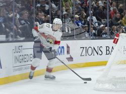 Panthers Utah Hockey