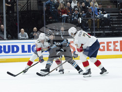 Panthers Utah Hockey
