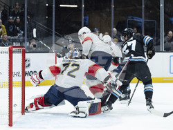 Panthers Utah Hockey
