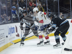 Panthers Utah Hockey