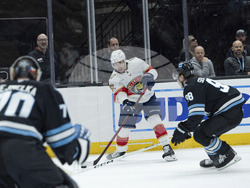 Panthers Utah Hockey