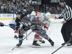 Panthers Utah Hockey