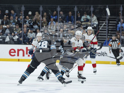 Panthers Utah Hockey