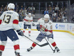 Panthers Utah Hockey