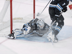 Panthers Utah Hockey
