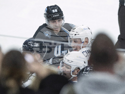 Panthers Utah Hockey