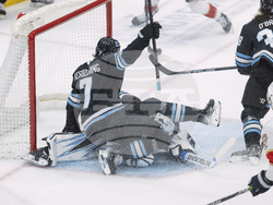 Panthers Utah Hockey