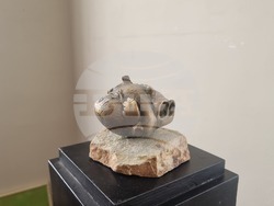 Плевен - обща изложба - плевенски художници