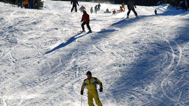 Община Берковица започва работа по трансграничен проект „Планинско училище без граници“