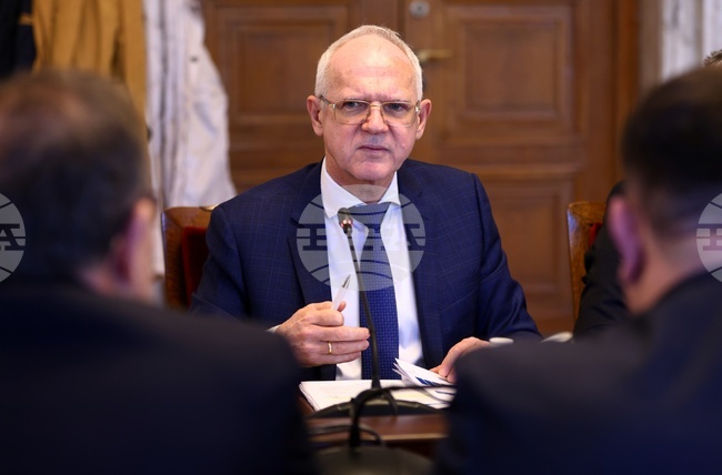 BSP - United Left, Employers Organization Concur on Need to Keep Electricity Price Compensations