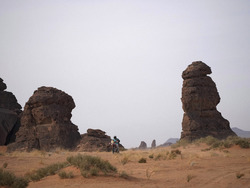 Saudi Arabia Dakar Rally