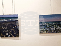 Самоков - Десислава Янакиева - изложба