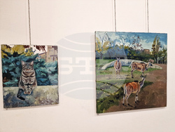 Самоков - Десислава Янакиева - изложба